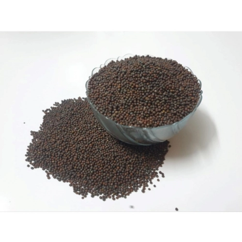 Generic Mustard Microgreen Seeds – Easy to Grow, Quick Harvest