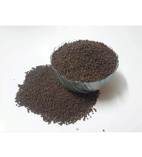Generic Mustard Microgreen Seeds – Easy to Grow, Quick Harvest