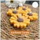 Generic Soya Wax Daisy Floating Candles