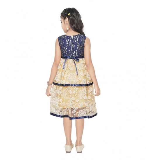 Girl's Fancy Net Net Sleeve Less Round Neck Dress (Blue)