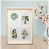 Generic Acrylic Four Collage In One Frame To Add Any Images (Multicolor)