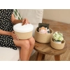Generic Cotton 3 Pcs Set Roti Box Storage Basket With Lid (Beige-White)