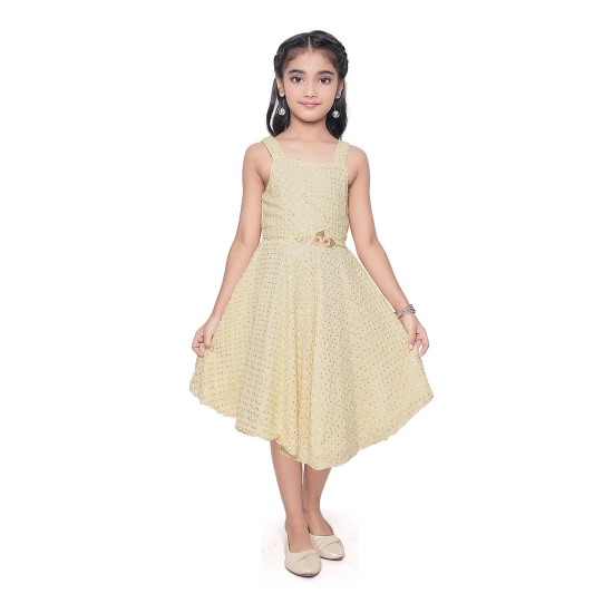 Generic Girl's Shiffon Chicken Printed Sleeve Less Round Neck Dress (Yellow)