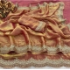 Generic Women's Satin Embellished Saree With Unstitched Blouse 5.5Mtr (Orange) Generic Women's Satin Embellished Saree With Unstitched Blouse 5.5Mtr (Orange)