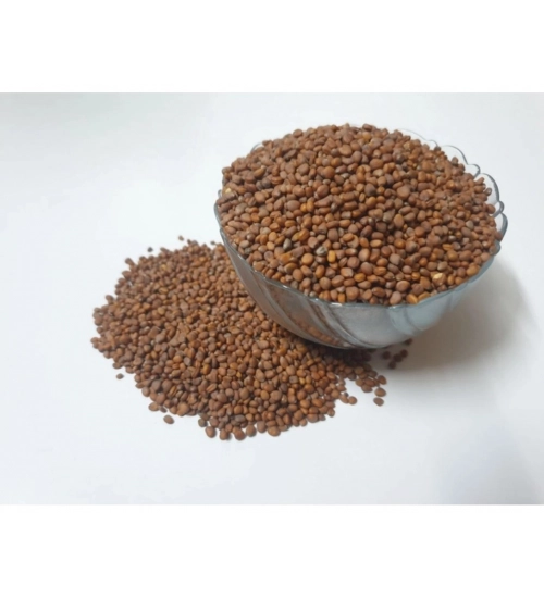 Generic Radish White Microgreen Seeds – Quick Growing, Perfect for Home Gardening