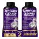 Generic Pack of 2 Bathroom Cleaner Concentrate Liquid Bottles 100 ML