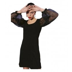 Generic Women's Organza And Polyester Lycra Solid Long Sleeves Dress (Black)