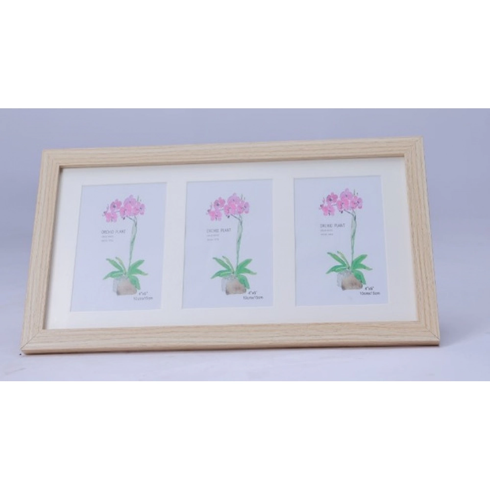 Generic Acrylic Cactus Image Frame (Multicolor)