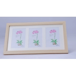 Generic Acrylic Cactus Image Frame (Multicolor)