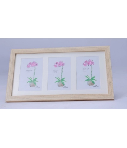 Generic Acrylic Cactus Image Frame (Multicolor)