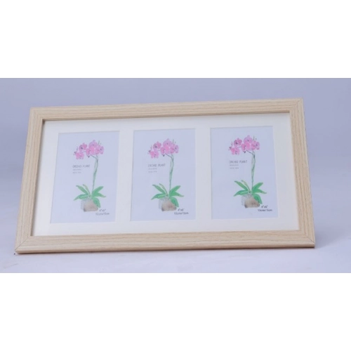 Generic Acrylic Cactus Image Frame (Multicolor)