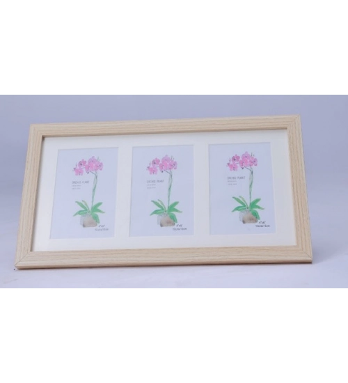Generic Acrylic Cactus Image Frame (Multicolor)