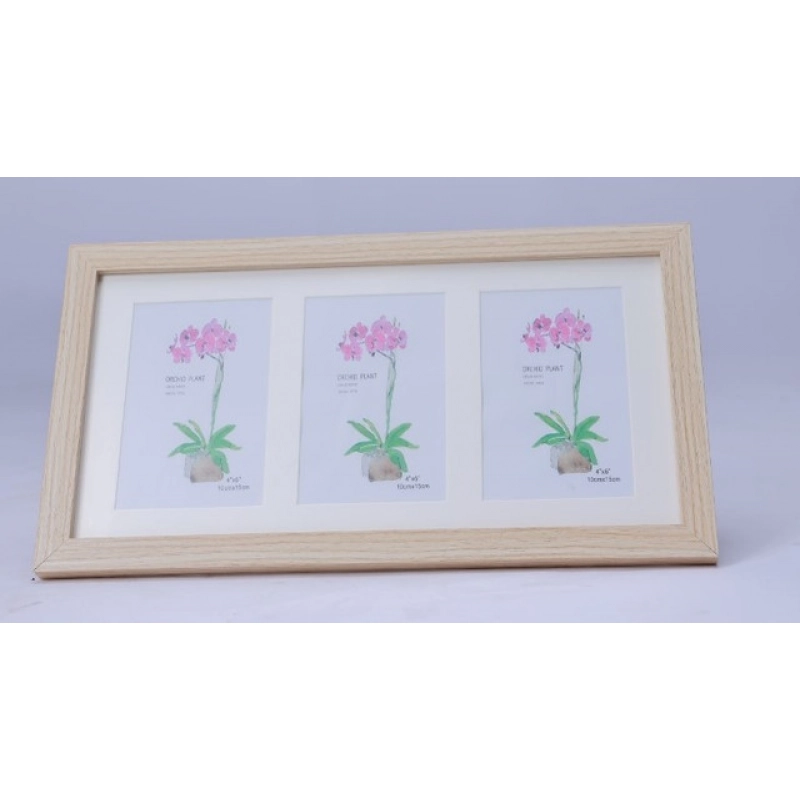 Generic Acrylic Cactus Image Frame (Multicolor) Generic Acrylic Cactus Image Frame (Multicolor)