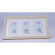Generic Acrylic Cactus Image Frame (Multicolor)